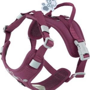 Hurtta Weekend Warrior II ECO hundsele, Eggplant