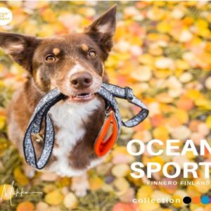 Ocean Sport justerbart koppel, orange