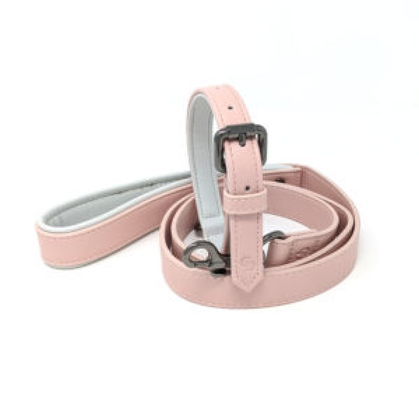 catwalkdog-cambridge-lead-collar-pink-300x300_grande