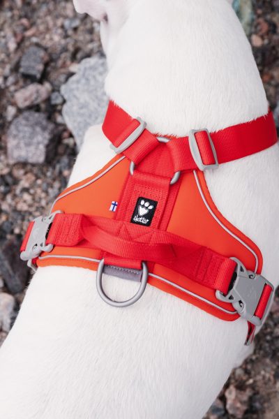 hurtta_weekend_warrior_harness_rosehip-1-kopia