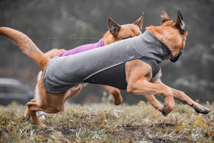 jumppa-2