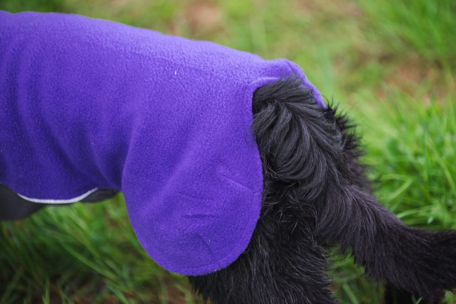jumppa-narbild-lila
