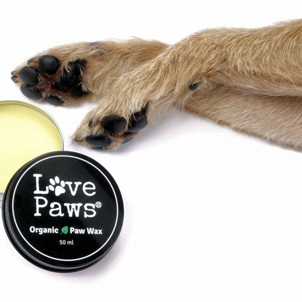 lovepaws-tassalva-1